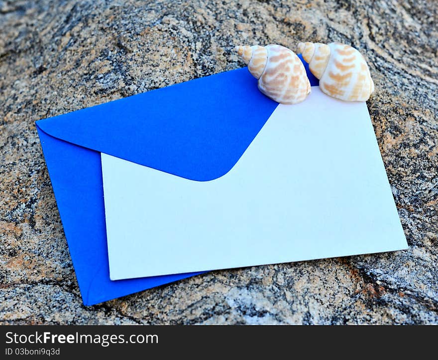 Blank card and conch background