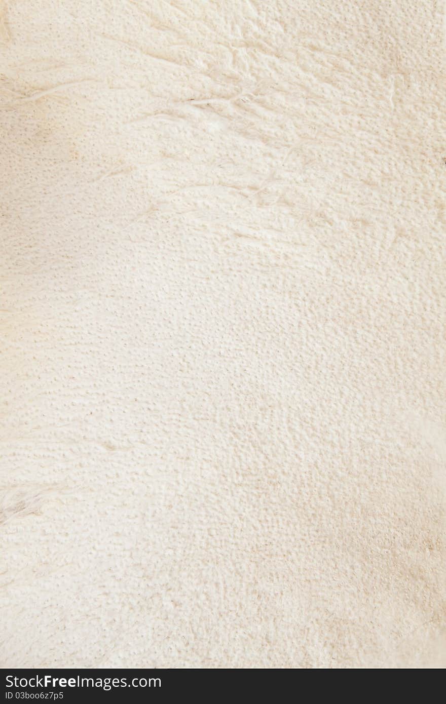 Soft beige leather of the two yeared fox. Textured background. Soft beige leather of the two yeared fox. Textured background