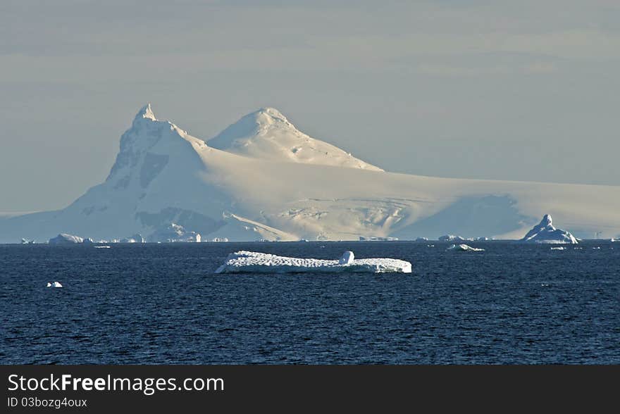 Cuverville Island in Antarctica peninsula. Cuverville Island in Antarctica peninsula