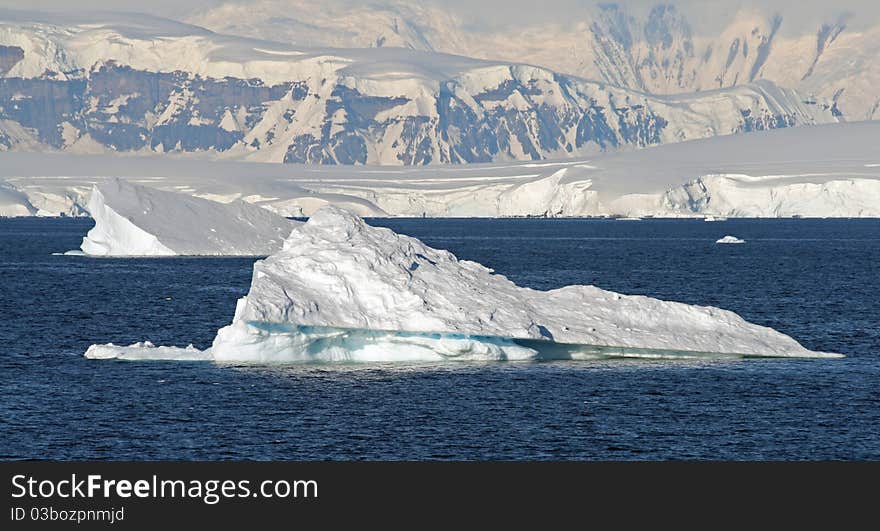 Cuverville Island in Antarctica peninsula. Cuverville Island in Antarctica peninsula