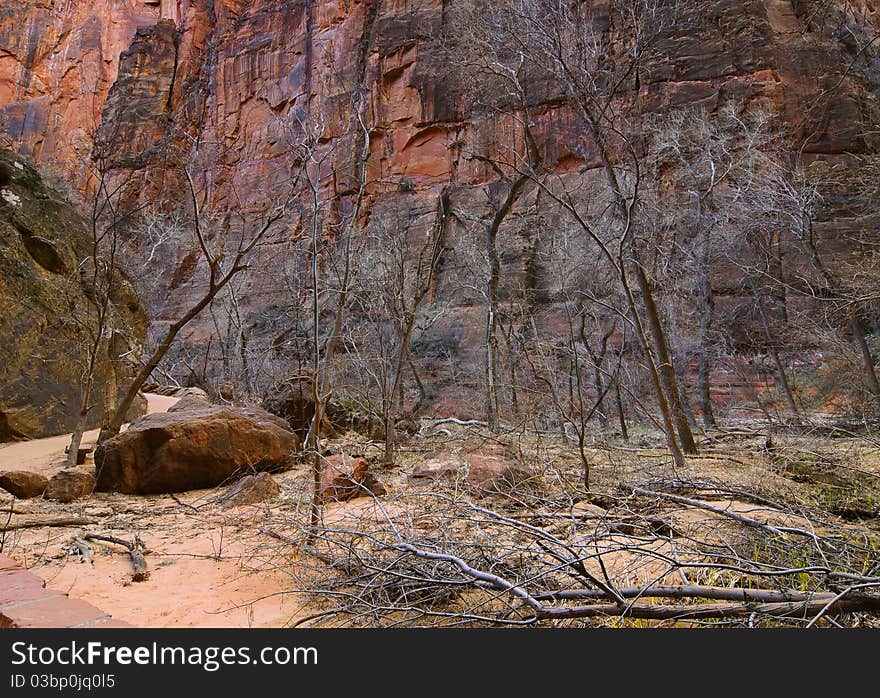 Zion National Park in winter (Utah, Usa). Zion National Park in winter (Utah, Usa)