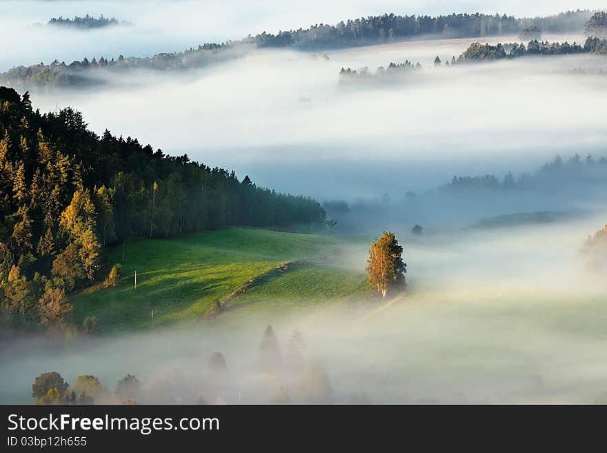 Foggy morning