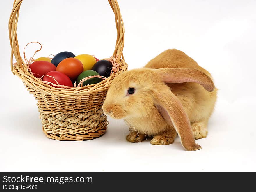 Rabbit with Easter with basket of painted eggs on the white background. Rabbit with Easter with basket of painted eggs on the white background