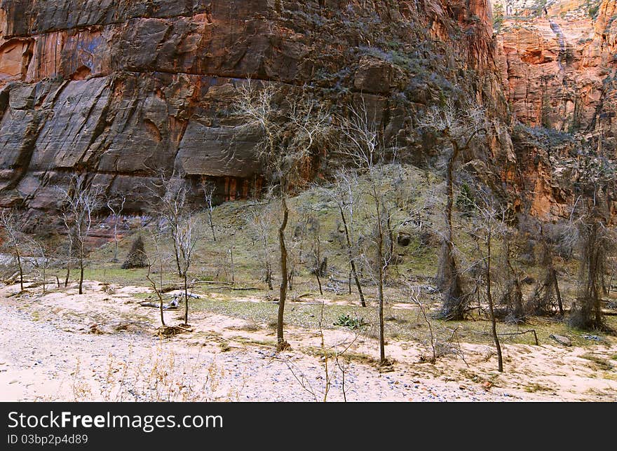 Zion National Park in winter (Utah, Usa). Zion National Park in winter (Utah, Usa)