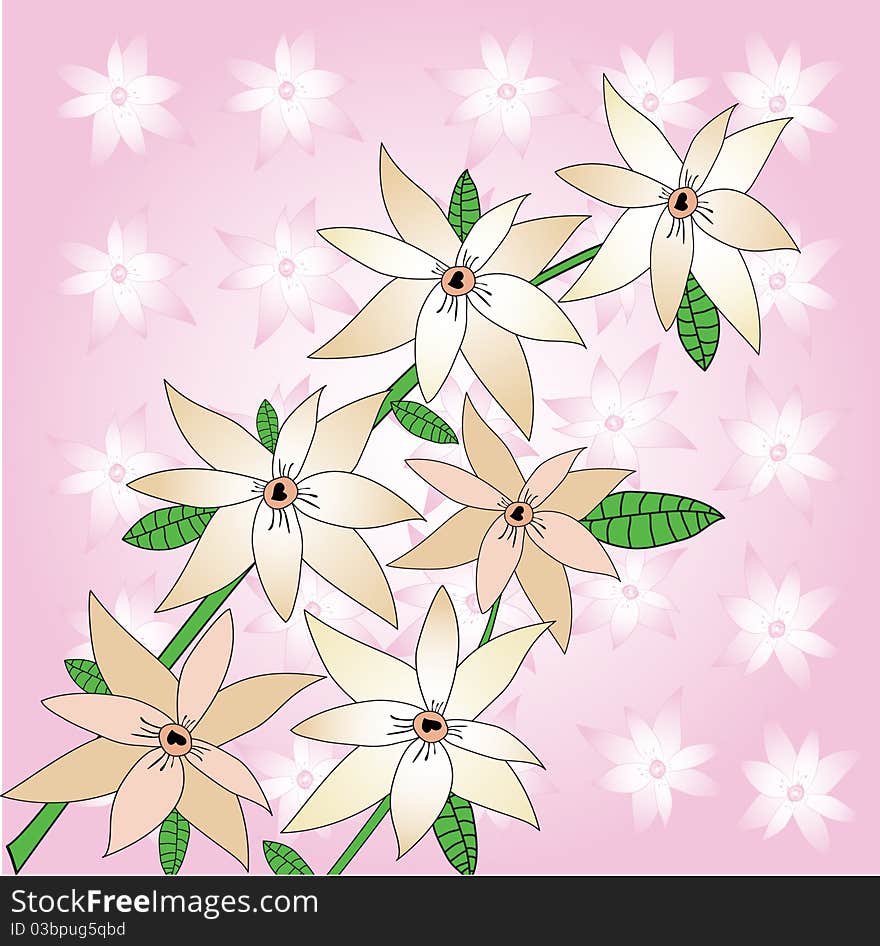 Sacura flowers on pink flowers background. Sacura flowers on pink flowers background