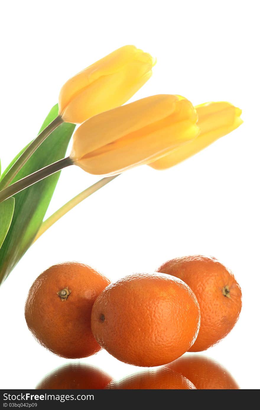 Flowers with oranges. White background. Studio shot. Flowers with oranges. White background. Studio shot.