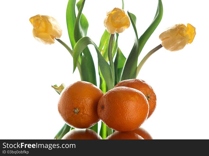 Flowers with oranges. White background. Studio shot. Flowers with oranges. White background. Studio shot.