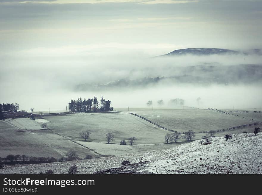 Hilly agricultural landscape during a winter fog. Hilly agricultural landscape during a winter fog.