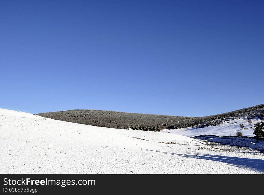 Snow landscape in Scotland looking towards a scots pine forest in the Scottish borders with a beautiful blue sky. Snow landscape in Scotland looking towards a scots pine forest in the Scottish borders with a beautiful blue sky.