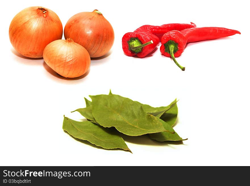 Photo of the spices on white background