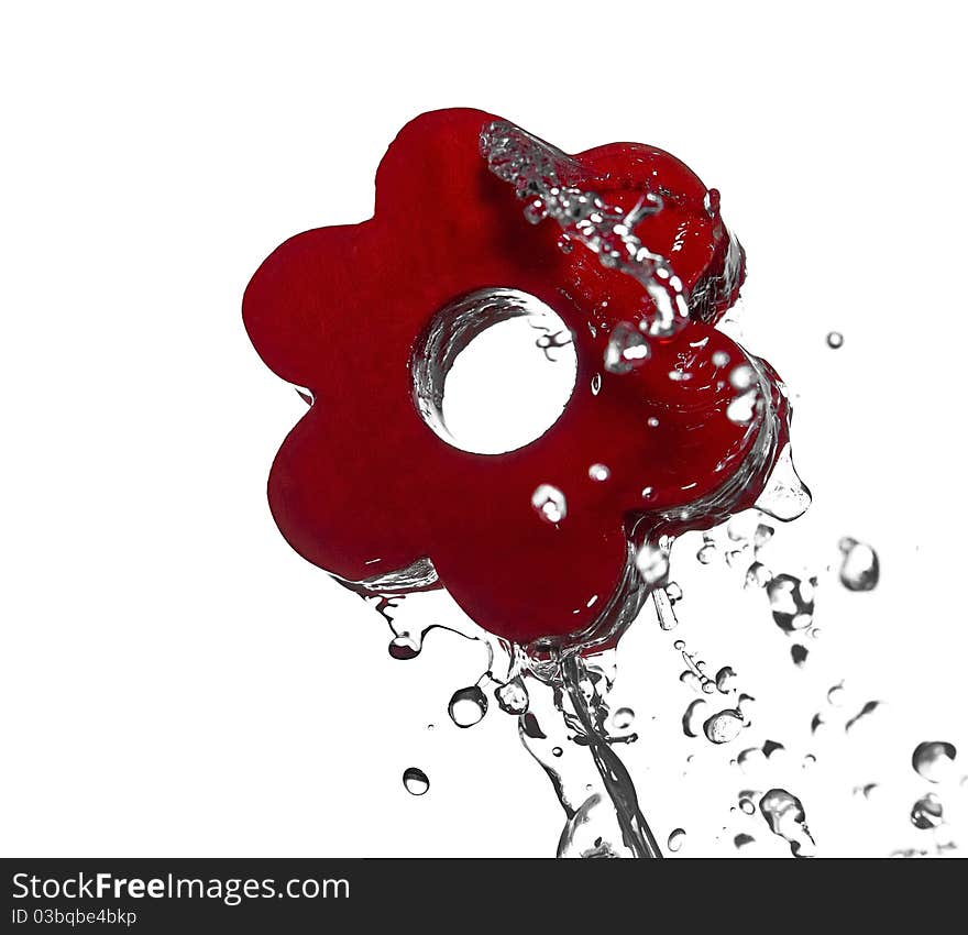 Water Splash On Red Flower