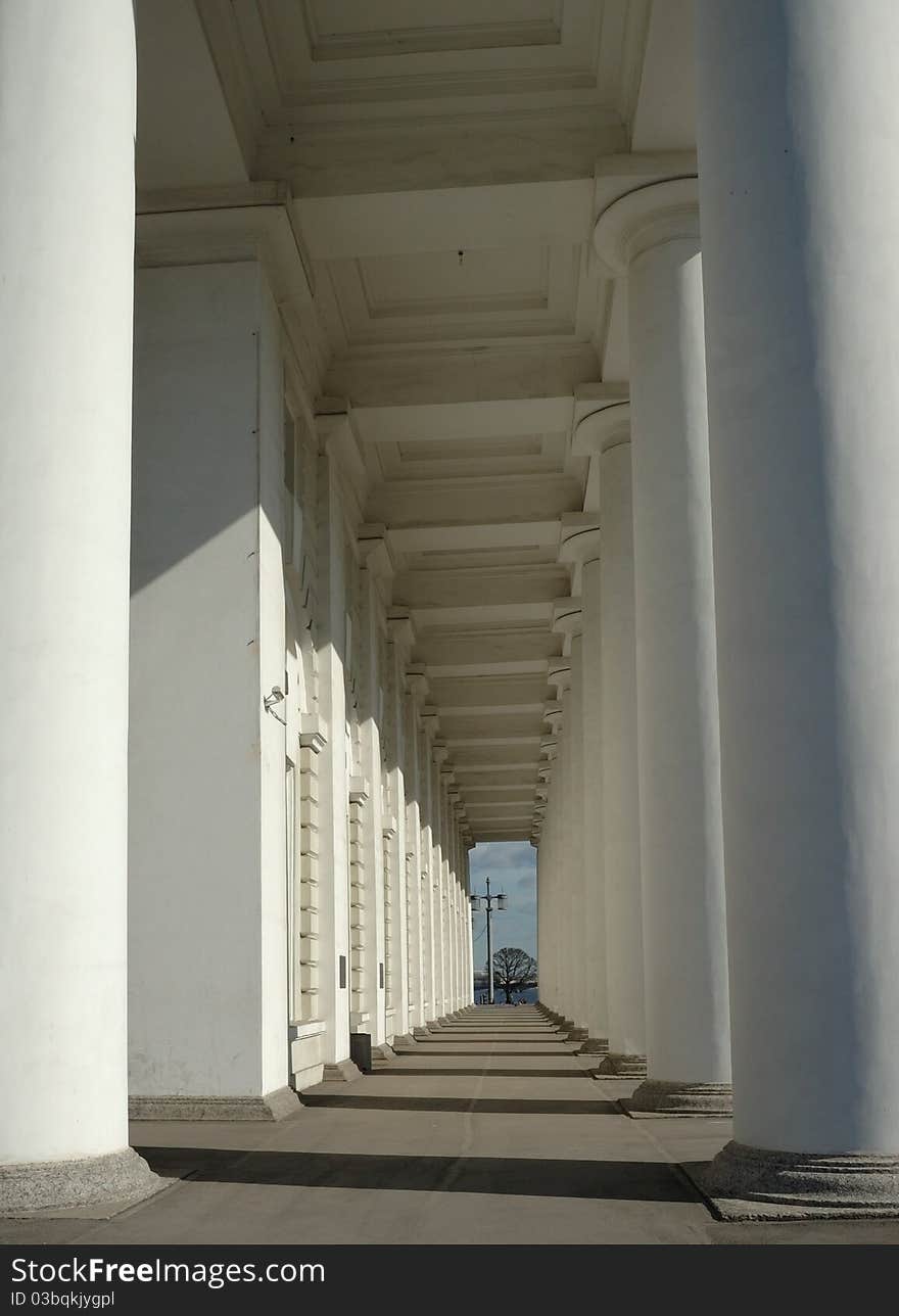 Rostral Column