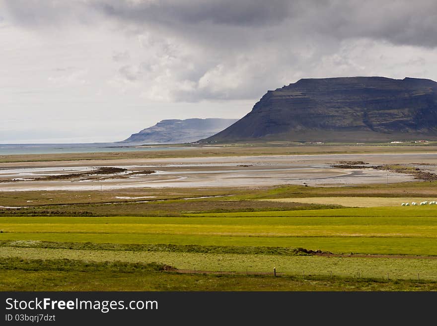 Green meadow Vestfjord - Iceland