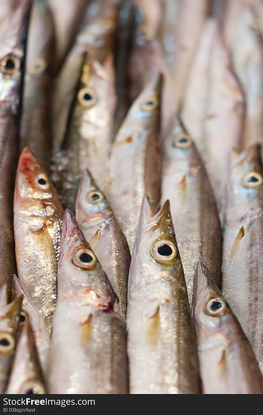 Silver fish at the old market of Acre in Israel. Silver fish at the old market of Acre in Israel