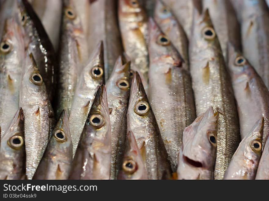 Silver fish at the old market of Acre in Israel. Silver fish at the old market of Acre in Israel