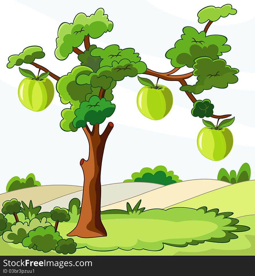 Tree with green apples