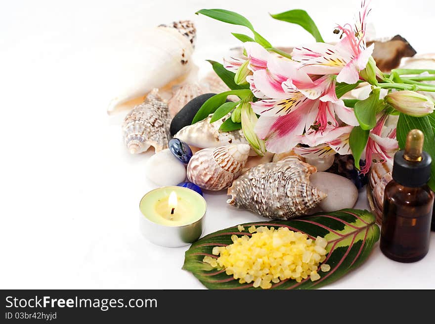 Clams, sea salt, flowers and essential oil isolated on white background. Clams, sea salt, flowers and essential oil isolated on white background