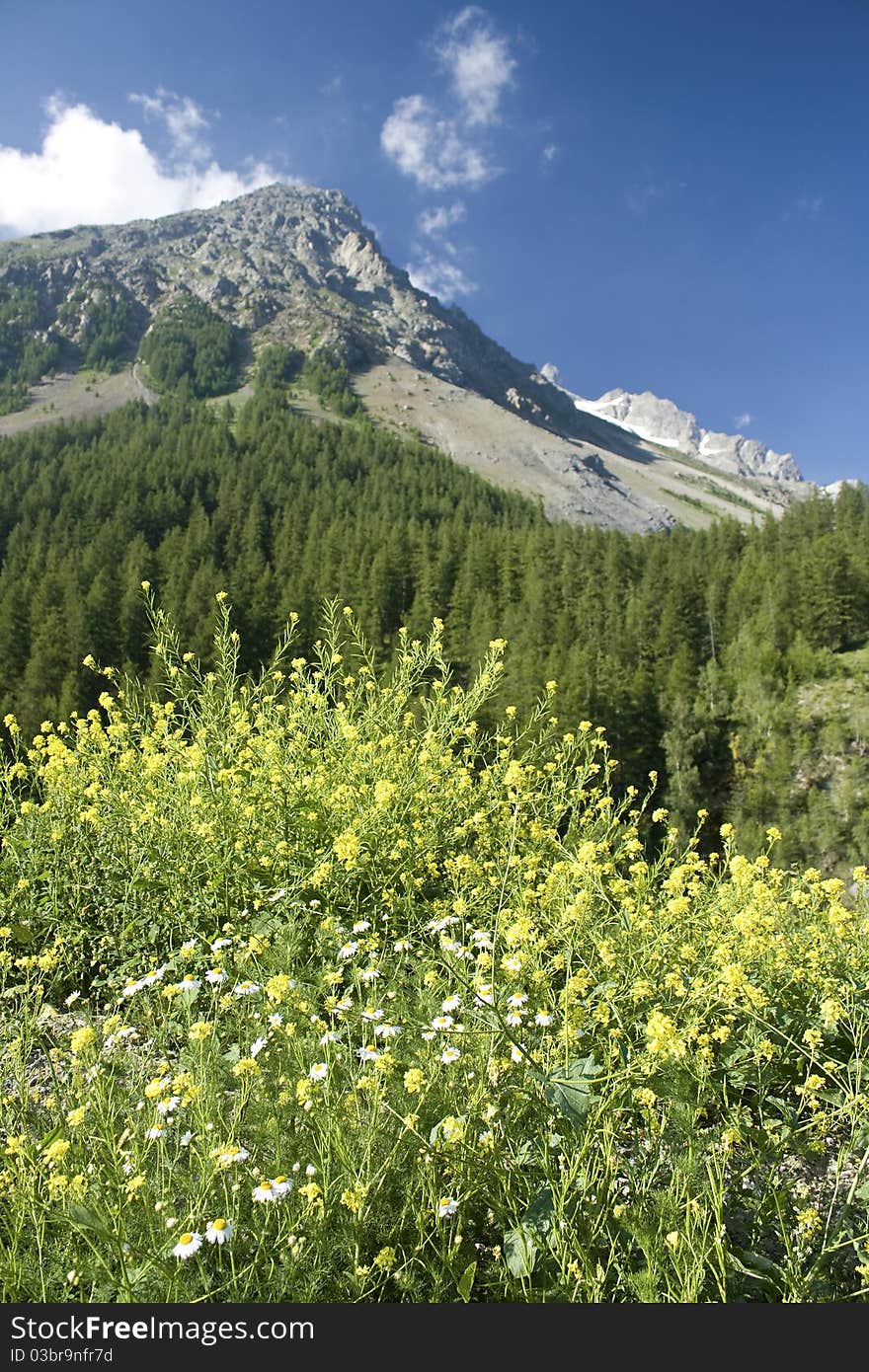 French alps mountain