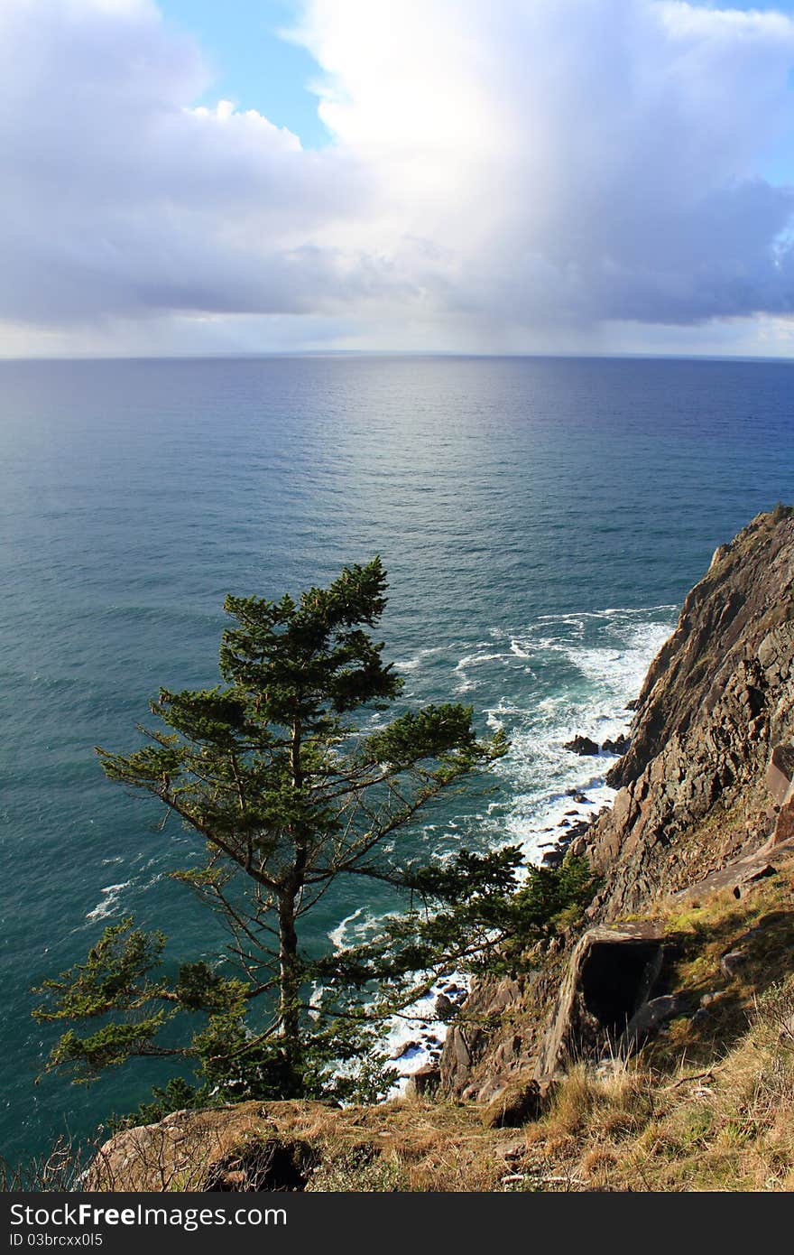 Oregon coast under bright cloudy blue sky, peacefull ocean lapping at cliffs on sunny bright day, large sunlit clouds, lone tree at base of cliff. Vertical layout. Oregon coast under bright cloudy blue sky, peacefull ocean lapping at cliffs on sunny bright day, large sunlit clouds, lone tree at base of cliff. Vertical layout