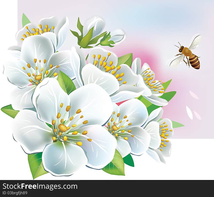 White flowers with leaves and a bee. White flowers with leaves and a bee