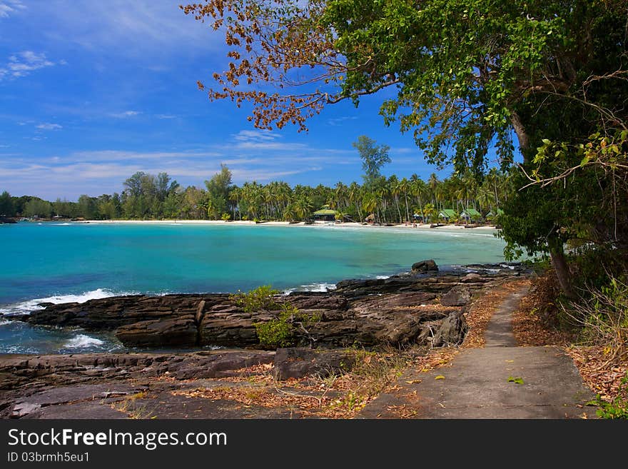 Pathway to tropical beach sea palm trees and ocean