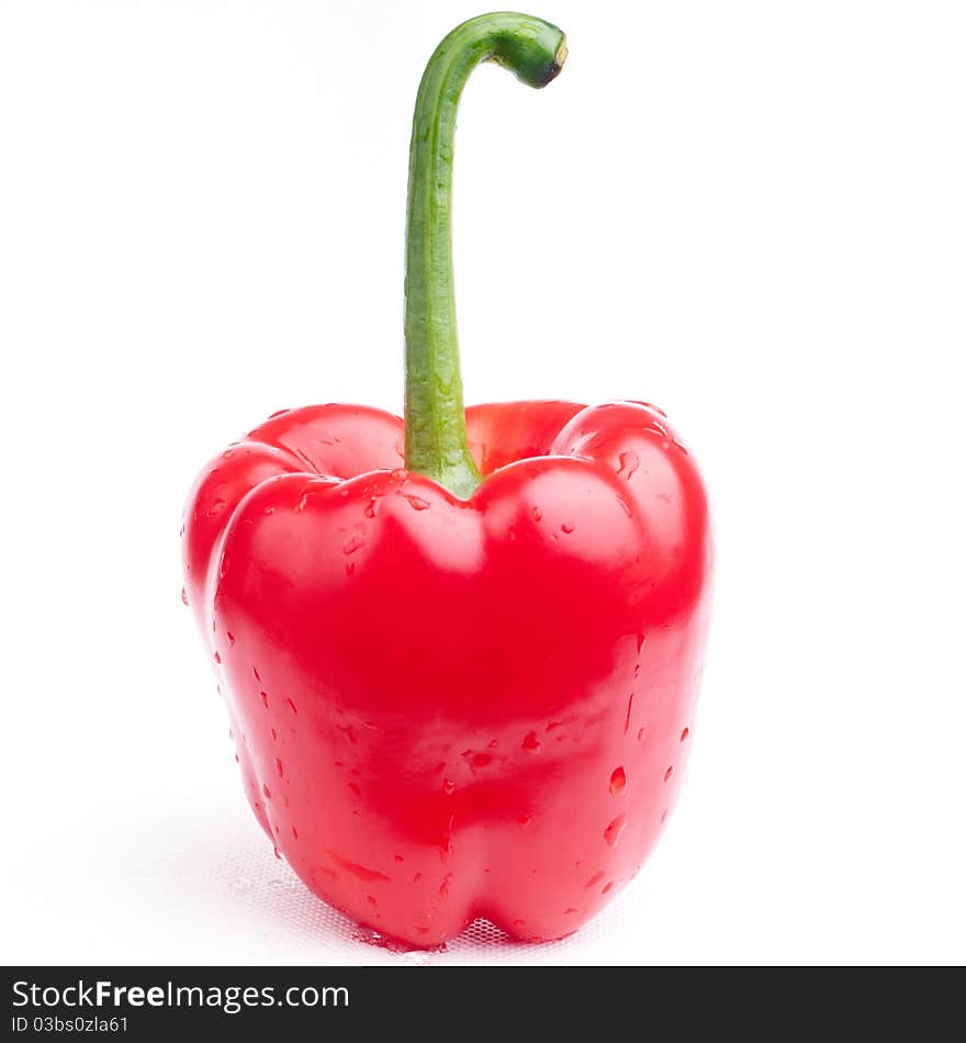 Red and wet pepper on white background. Red and wet pepper on white background