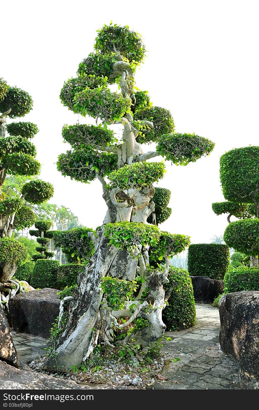 Topiary work