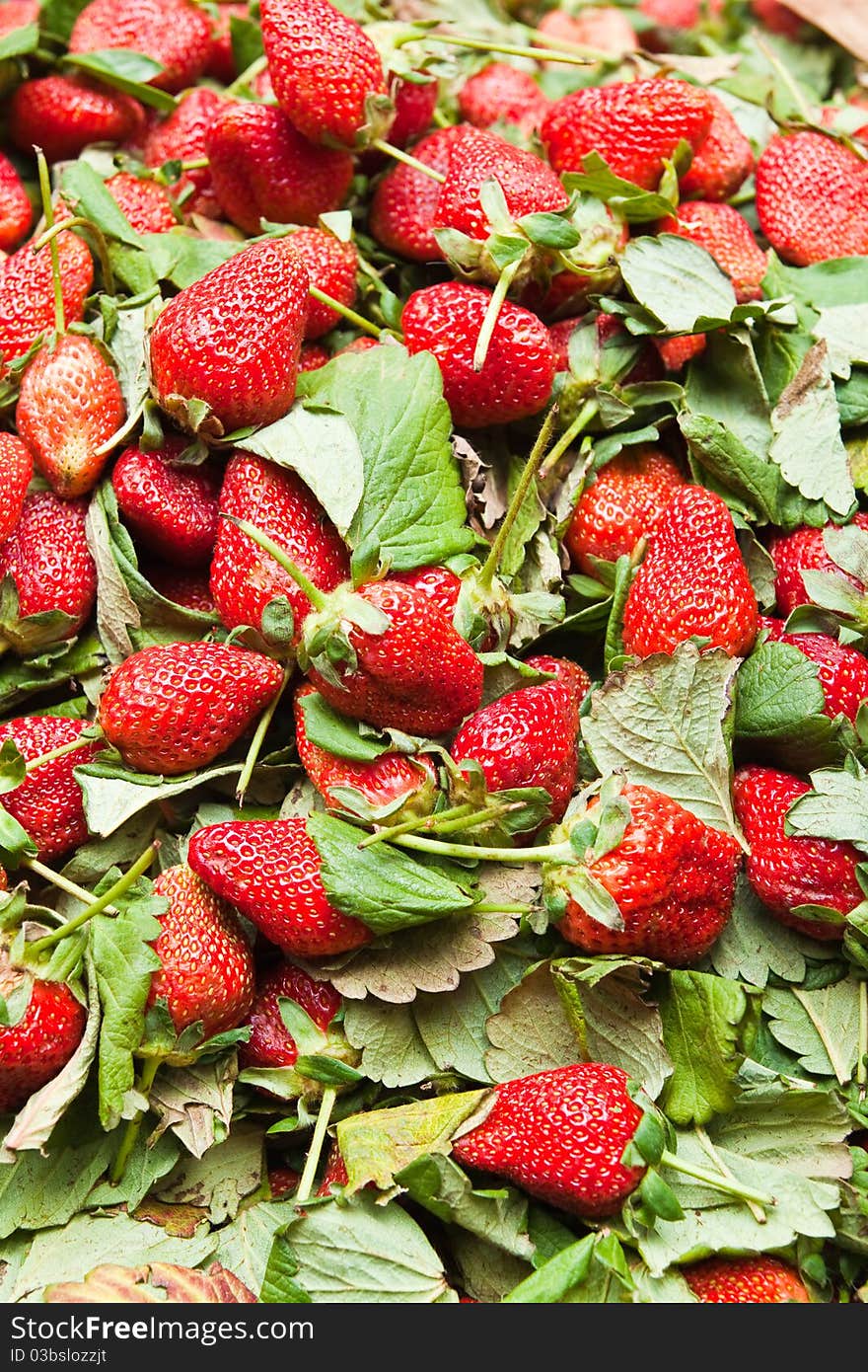 Strawberry with leaf in a basket