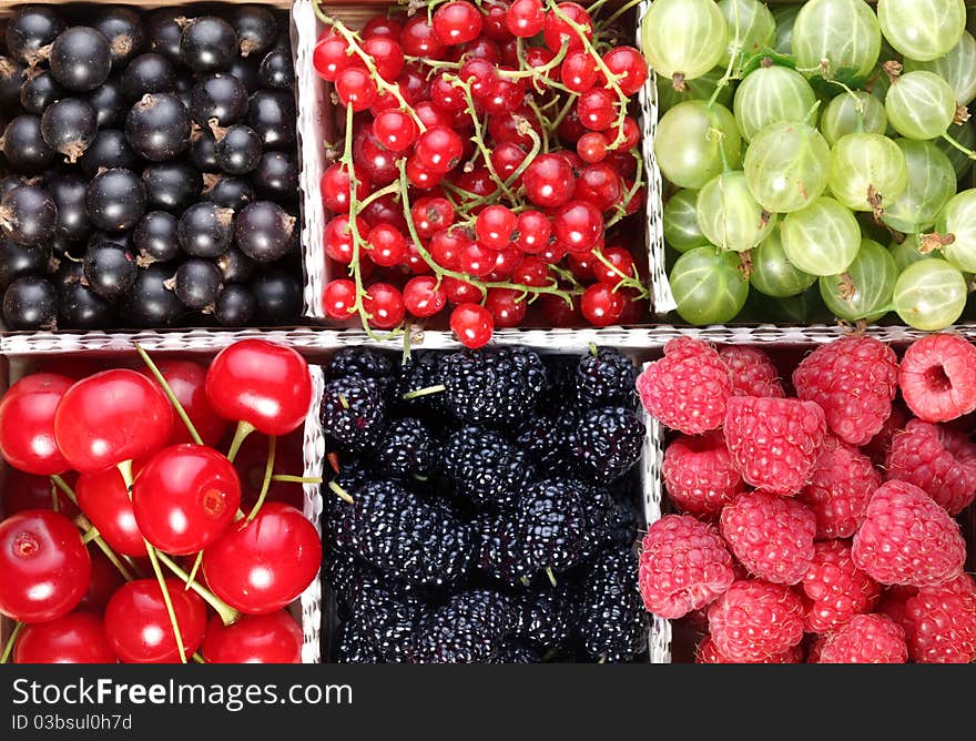 Different colourful berries in the box. Different colourful berries in the box