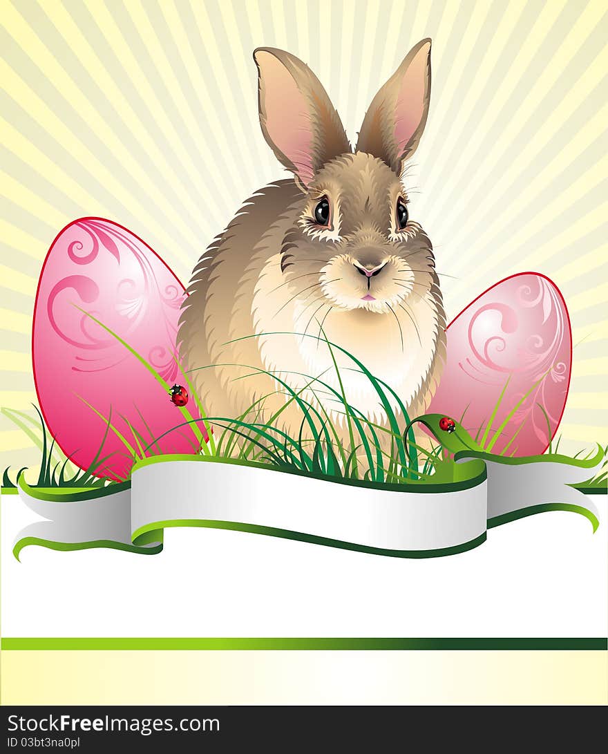 Easter Background With Rabbit