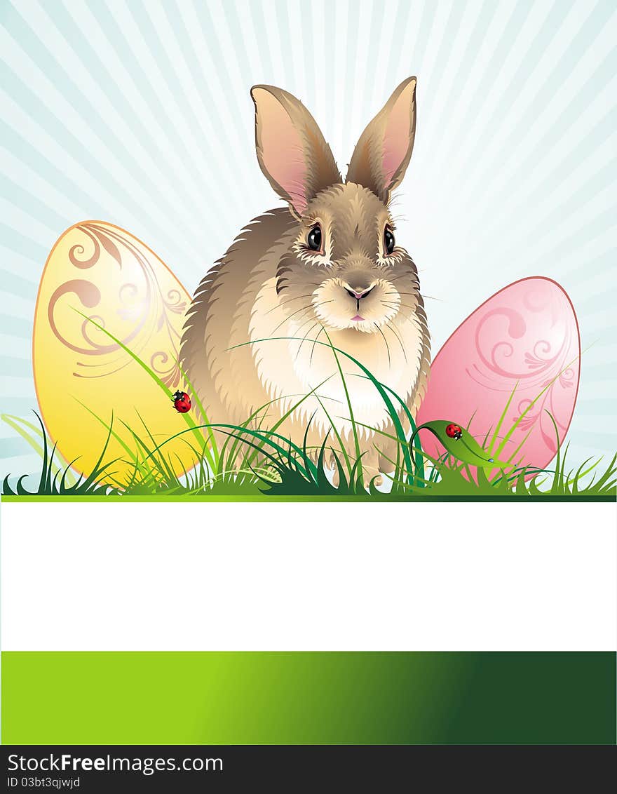 Easter background with rabbit