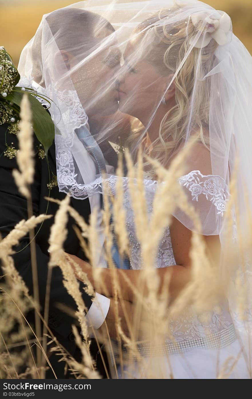 Wedding couple in eared field