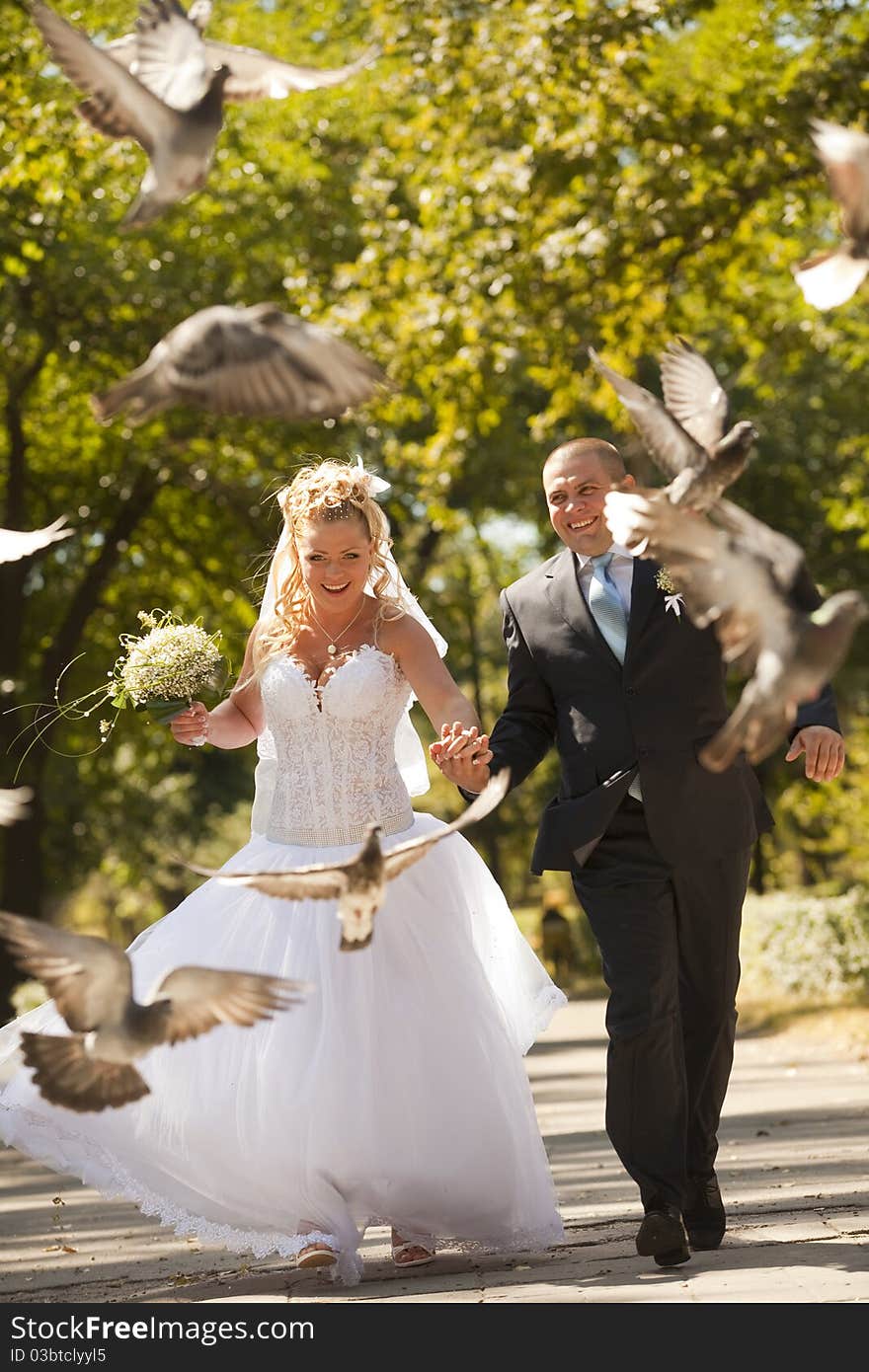 Newly-married couple at the wedding walk