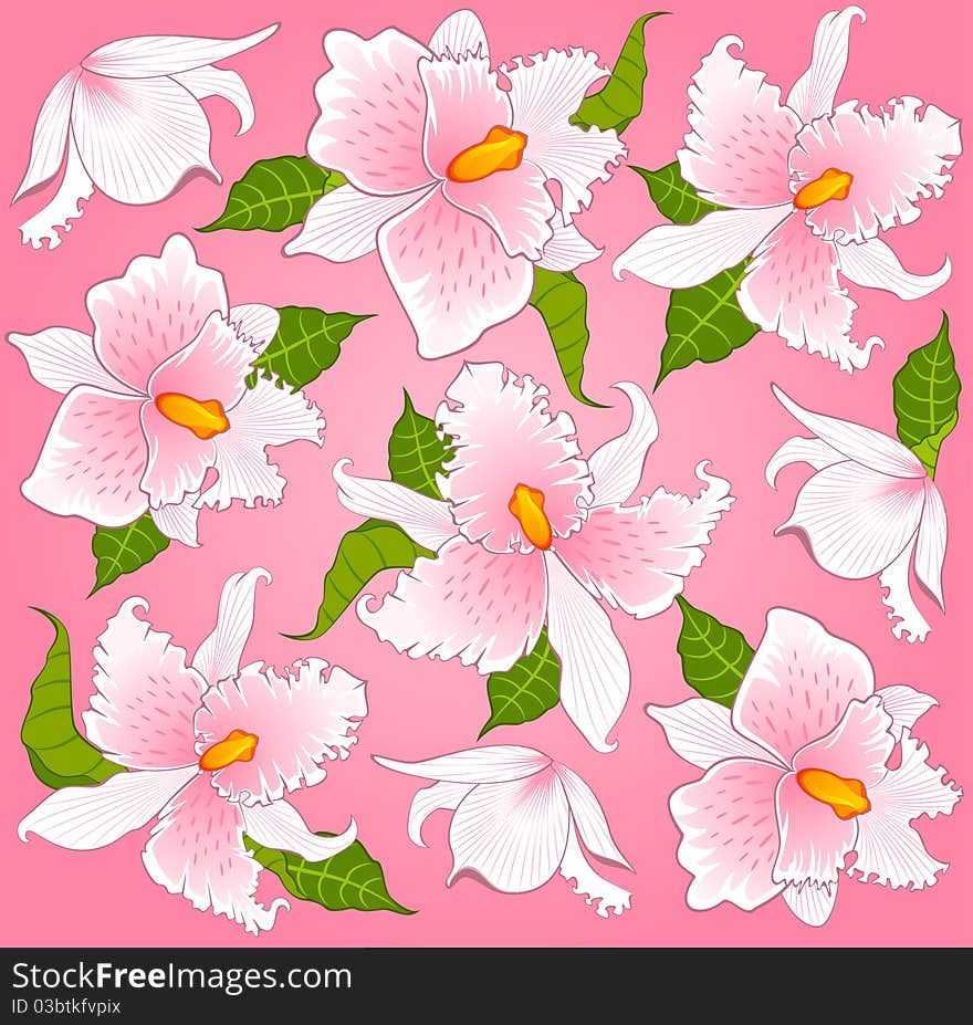 Background With Beautiful Orchids