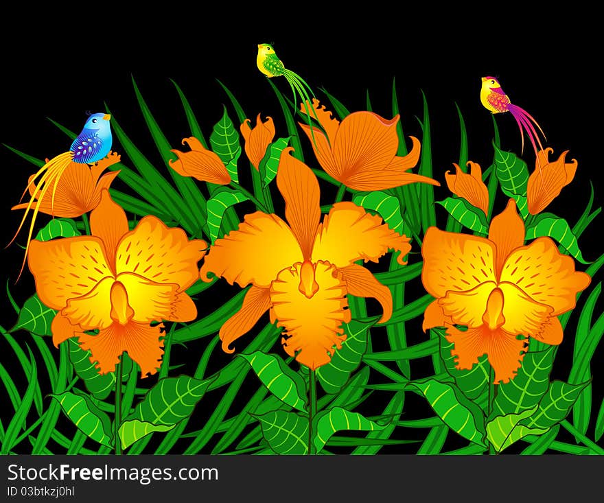 Background with beautiful orchids and birds