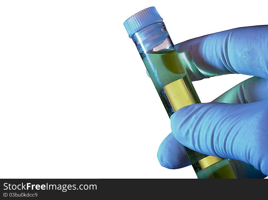 Hand in a glove holding a test tube on a white background. Hand in a glove holding a test tube on a white background.