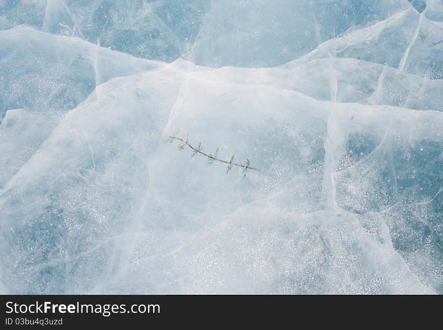 Frosty green grass in an ice piece. Frosty green grass in an ice piece