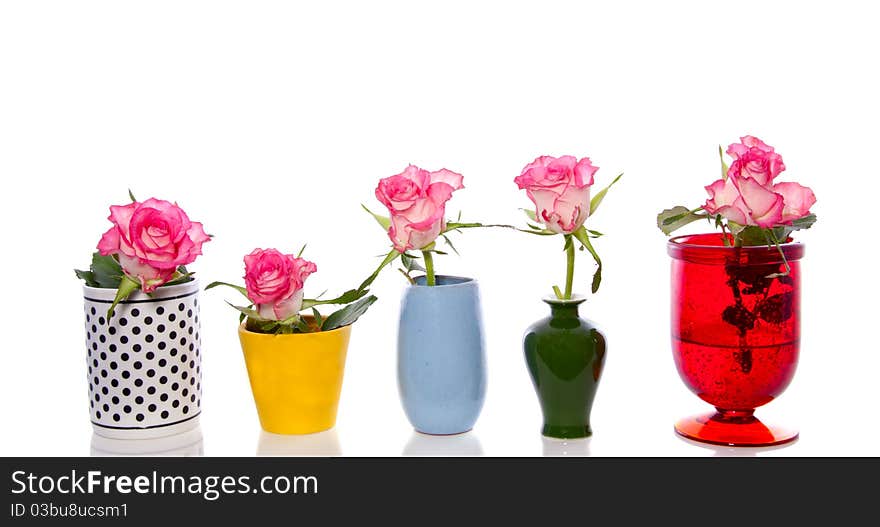 Five little vases with white pink roses isolated over white