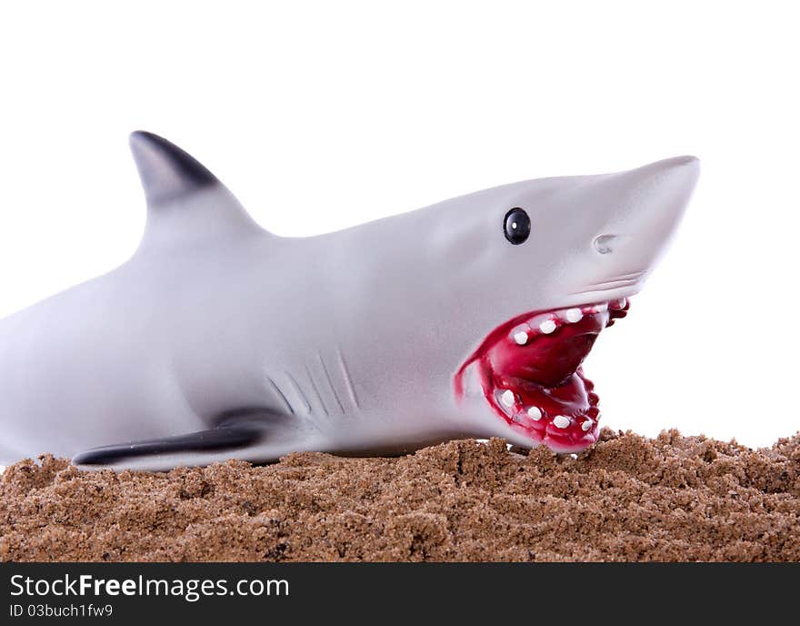 An extramarital grey shark on the beach sand with a bloody mouth isolated over white background