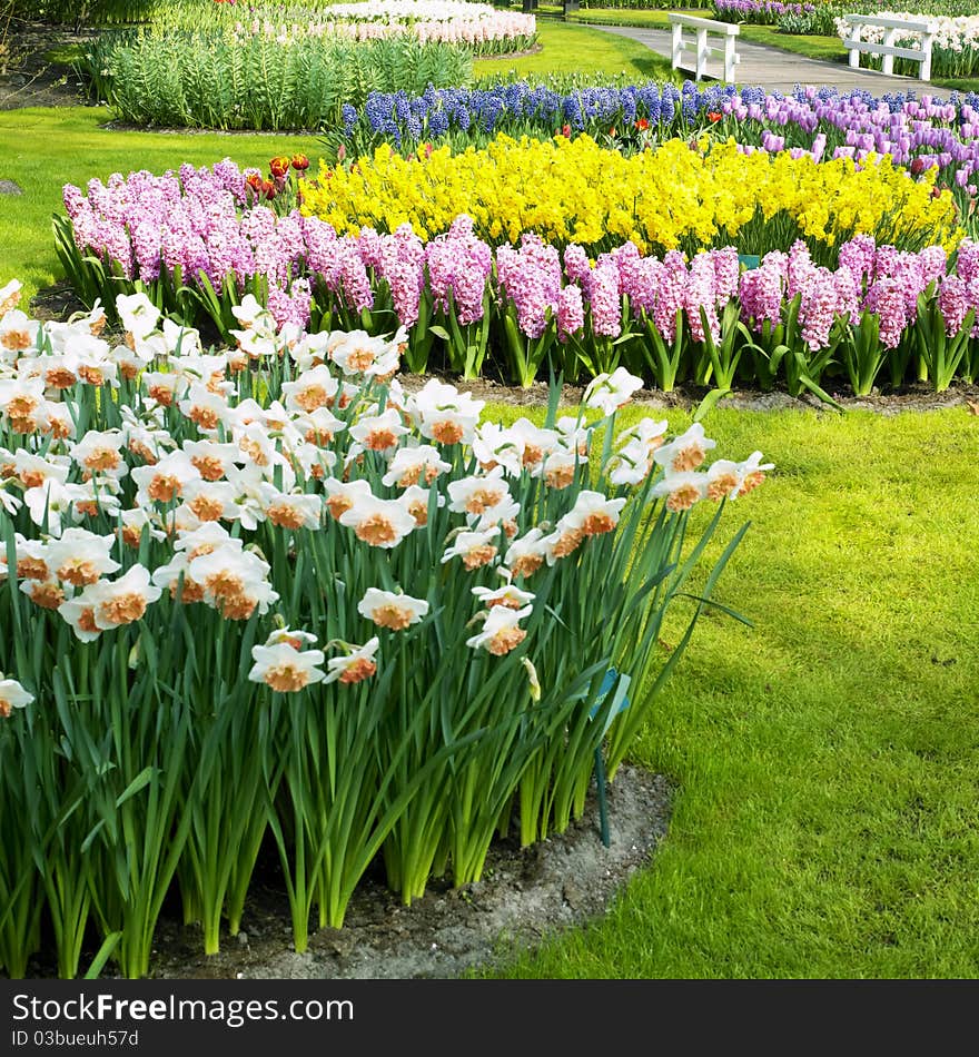 Keukenhof Gardens