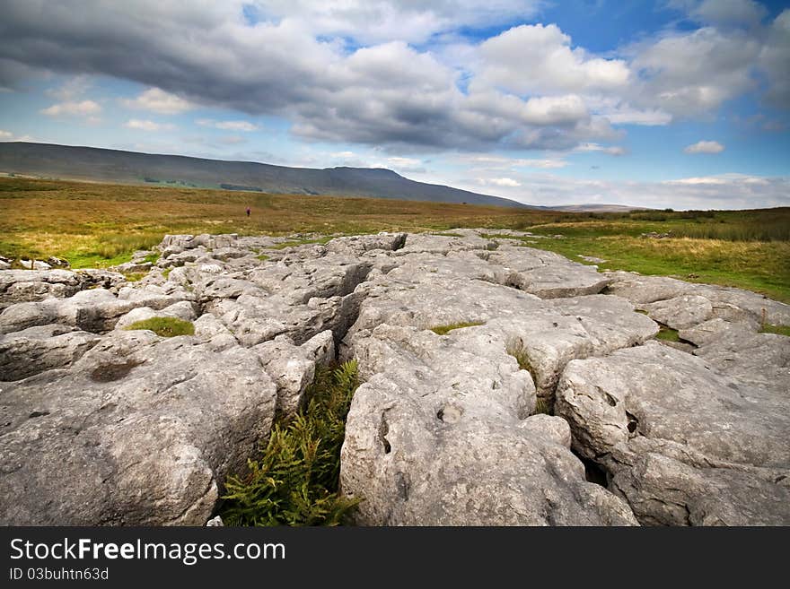 Limestone Pavement