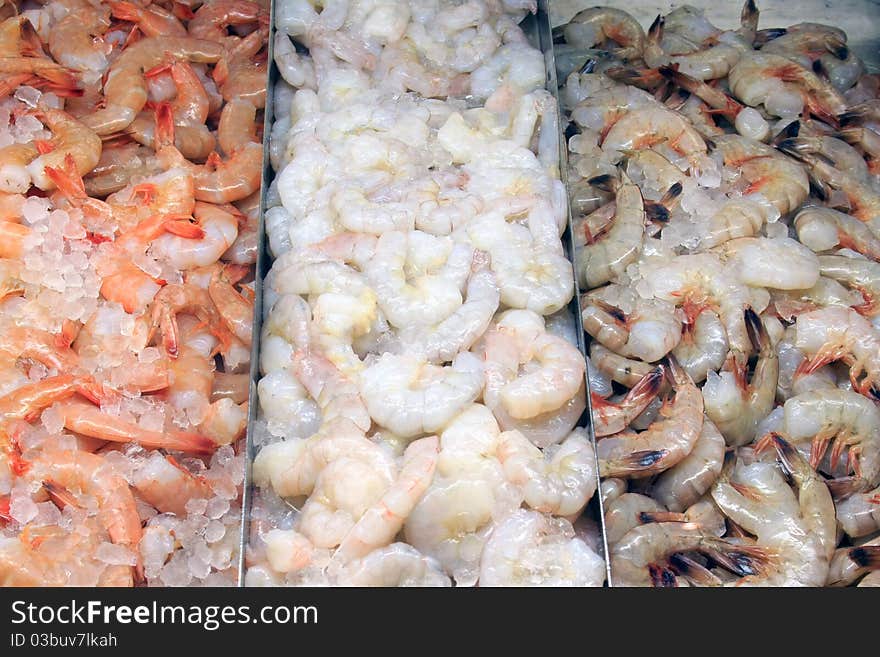 Variety of Shrimp