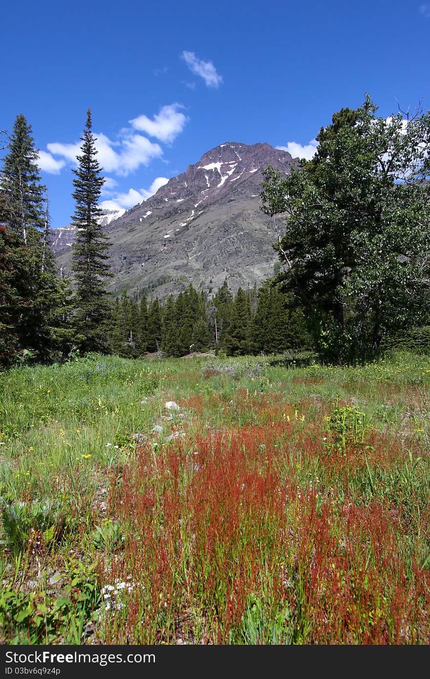 Beautiful landscape in Glacier national park of Montana