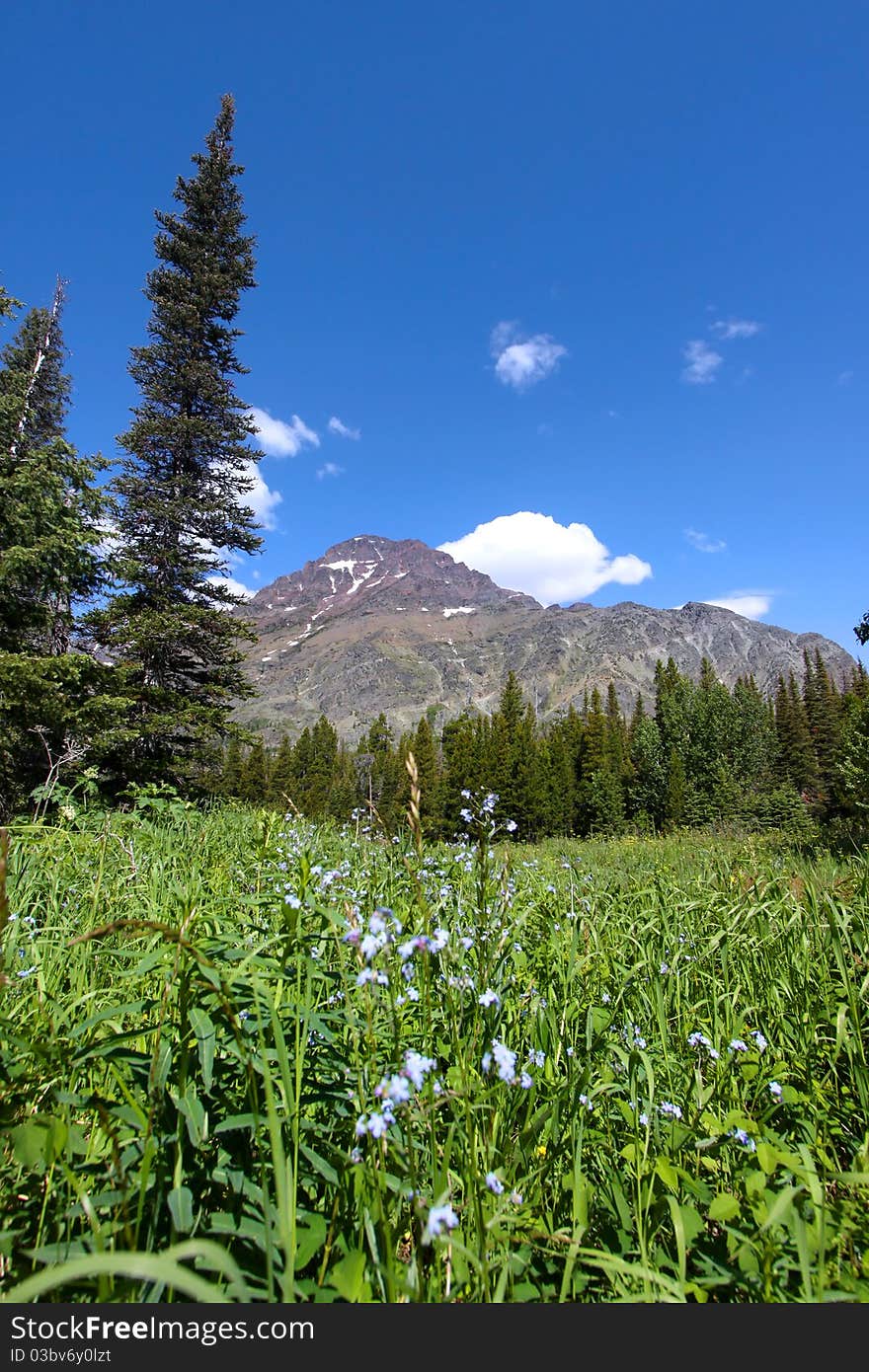 Beautiful landscape in Glacier national park of Montana