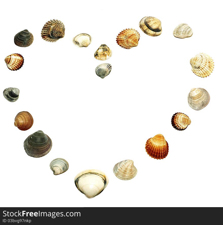 Heart, symbol of love made of sea shells. Heart, symbol of love made of sea shells