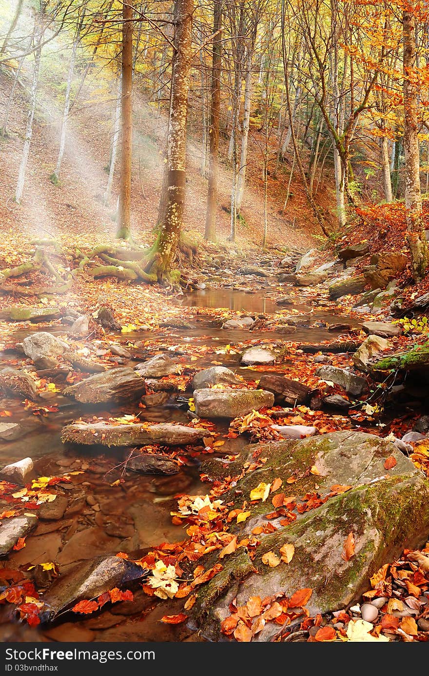 River illuminated by sun beam. River illuminated by sun beam