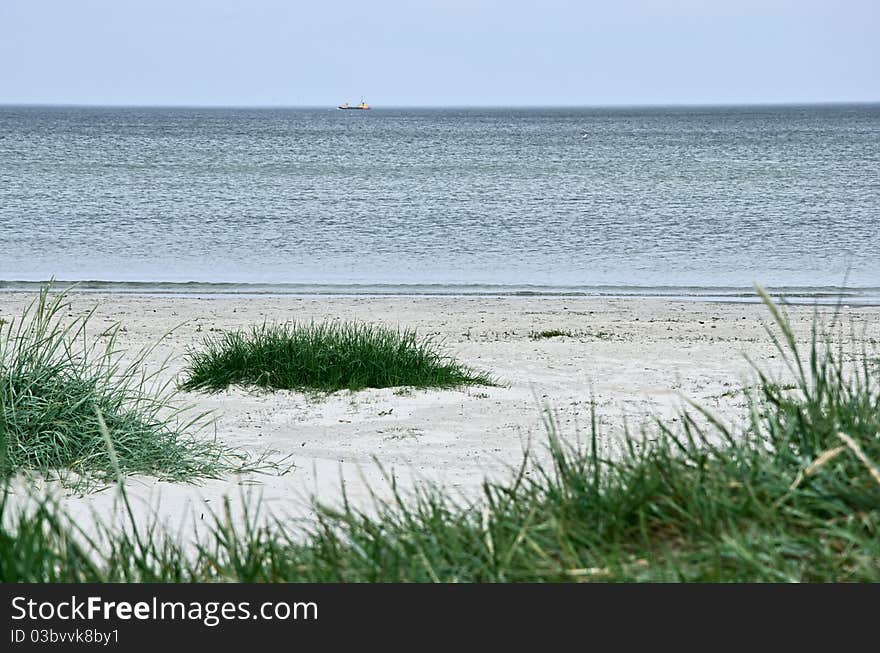 Green Grass On A Deserted Beach