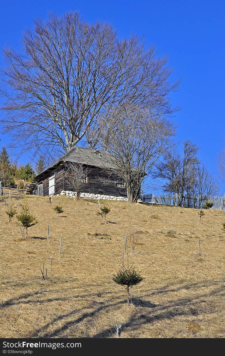 Top chalet and isolated tree on mountain top