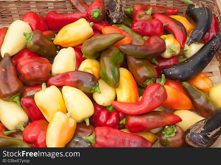 Brightly colored fresh organic peppers. Brightly colored fresh organic peppers