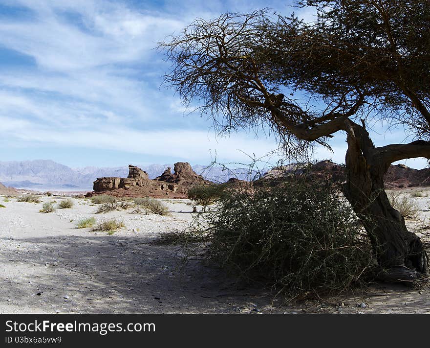 Valley Of Timna Park, Israel